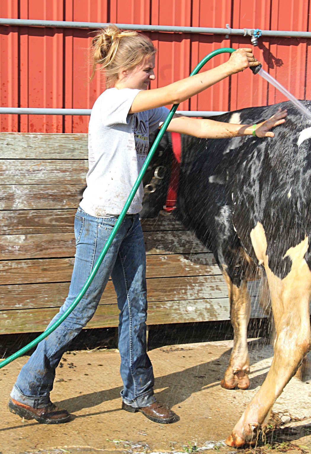 Hard work to show at the fair